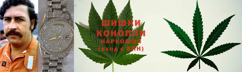 Каннабис White Widow  Когалым 